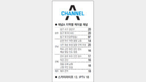 [광주/전남][전북][제주]채널A 지역별 케이블 채널