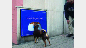 실제 같은 개밥 광고, 지나가는 개도 멈춰서는 ‘리얼리티’