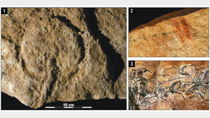3만7000년 전 세계 最古 암각화 프랑스 서남부서 발견