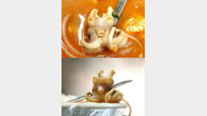 짬뽕 속 박명수? 헉! 쭈꾸미에 박명수 얼굴이…