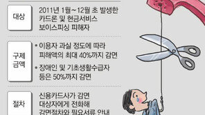 카드론 첫 이용자 300만원 이상 신청 땐 승인 후 2시간 입금 지연