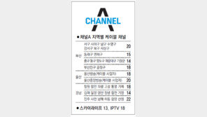 [부산/경남]채널A 지역별 케이블 채널