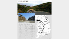 백두대간 ‘끊긴 허리’ 이화령부터 잇는다