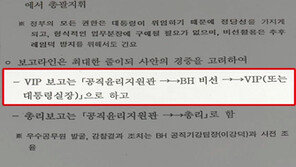 [뉴스A]“지원관실은 VIP에 충성 비선조직” 문건 드러나