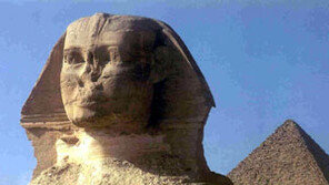 이집트 부활사건 화제 “죽었던 20대 청년 관에서 벌떡”