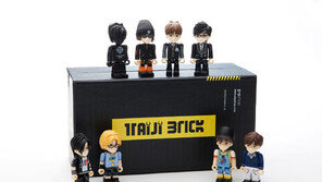 서태지 데뷔20주년기념 브릭세트 출시