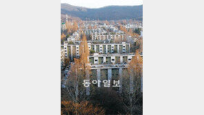 [Home&Dream]5·10 부동산 대책… 노 정부시절 묶였던 ‘마지막 빗장’ 풀렸다