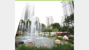 [Home&Dream]소나무 공원+아파트… 직접 살아보고 결정하세요 