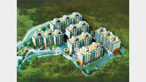 [Home&Dream]초기 투자금 4000만 원… 소형 위주 구성… 직장인·신혼부부에 딱이야