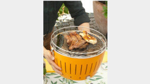 연기 안나는 숯불 바비큐 그릴, 국내 첫 상륙