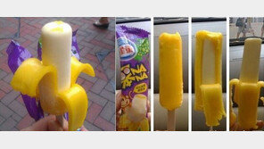 中 녹지않는 아이스크림 ‘충격’… “또 먹거리 공포?”