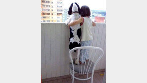 엄마 오는 거 보여? 사이좋은 아이와 강아지 “저러다 목 빠질라”