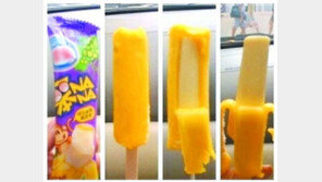 中 녹지않는 아이스크림, ‘24시간 지나도 처음처럼’ 경악