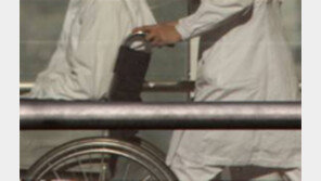 역대 최대 보험사기 적발…혐의자 무려 1361명