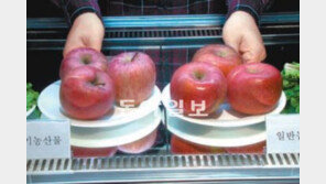 [오늘의 채널A]유기농산물이 턱없이 비싼 이유 추적