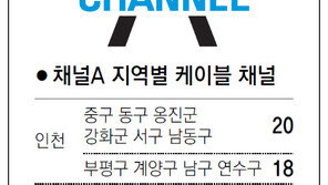 [인천/경기]채널A 지역별 케이블 채널