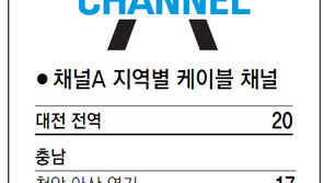 [강원][대전/충남][충북]채널A 지역별 케이블 채널