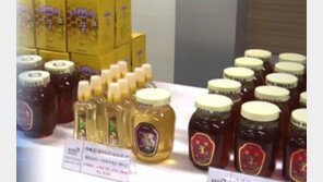 [뉴스A]물엿에 밀가루 넣고 “100% 벌꿀”…가짜 구분 못 해