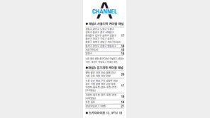 [수도권]채널A 서울지역 케이블 채널