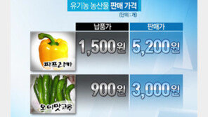 [뉴스A]유기농 왜 비싼가 했더니 백화점이 ‘뻥튀기’