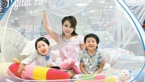 여름 코앞… 모기장 준비하세요