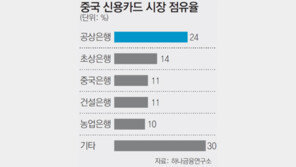 中 신용카드 시장 빗장 ‘스르르’