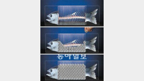 대학원생 2명, 세계 5대 광고제 본상 수상… 최익환-권은진씨 공동 작품