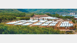 [수도권]경기 남양주에 유기농 시범단지