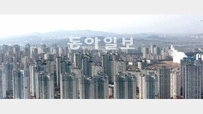 [Home&Dream/LH특집]전매제한 완화… 다시보자 보금자리주택