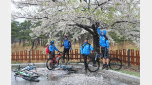 [허영만의 ‘자전거 식객’] 2,363km 마지막 만찬…절밥, 마음을 채우다