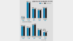 [부자됩시다]‘먹구름’ 증시에 ‘나홀로 햇살’ 부동산 펀드-리츠