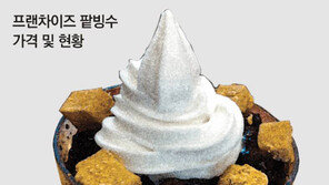 [수도권]팥빙수가 1만3000원? 커피가 울고갈 ‘거품’