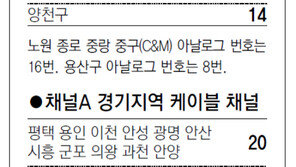 [수도권]채널A 서울지역 케이블 채널