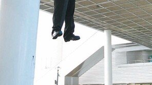 [포토 에세이]“진짜 사람이 매달렸네”