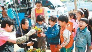 [대구/경북]꽃과 함께 동심도 활짝