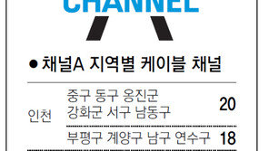 [인천/경기]채널A 지역별 케이블 채널