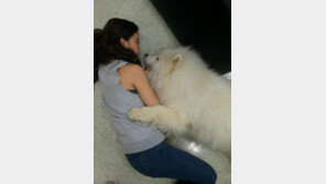 굿보이 유통금지 신청, 남성연대 “짖어대고 주인을 문다고?”