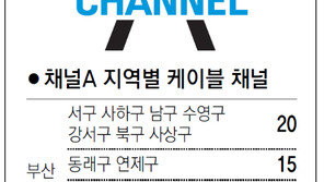 [부산/경남]채널A 지역별 케이블 채널