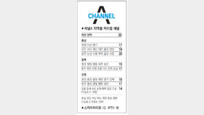 [강원][대전/충남][충북]채널A 지역별 케이블 채널