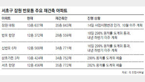 서울 잠원-반포 재건축發 전세난 우려 긴급점검