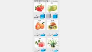 “日종자는 가라” 한국 딸기 독립선언