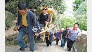 [TV 프로그램]해발 1474m 왕복하는 가마꾼