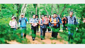 [제주]제주 ‘사려니 숲길’서 에코힐링 체험하세요