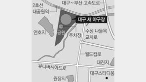 [대구/경북]300억 때문에… 대구 새 야구장 유찰