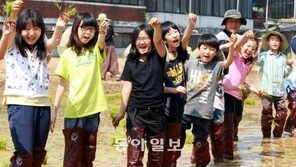 어린농부들 모내기 체험