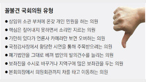 [19대 국회에 바란다]“이런 의원 싫어요” 국민들 가장 꼴불견으로 여기는 국회의원 유형은?