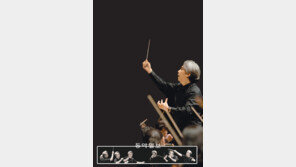 수원시향… 뉴욕필… 그릇 크기는 달라도 감동의 크기는 같게