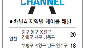 [인천/경기]채널A 지역별 케이블 채널
