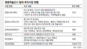 [수도권][인천/경기]“병원-상가도 없는 영종하늘도시… 사람 살라는 곳 맞나”