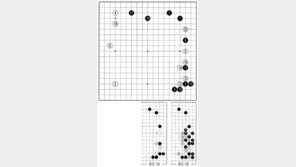 [바둑]제56기 국수전… 새로운 수법 14 